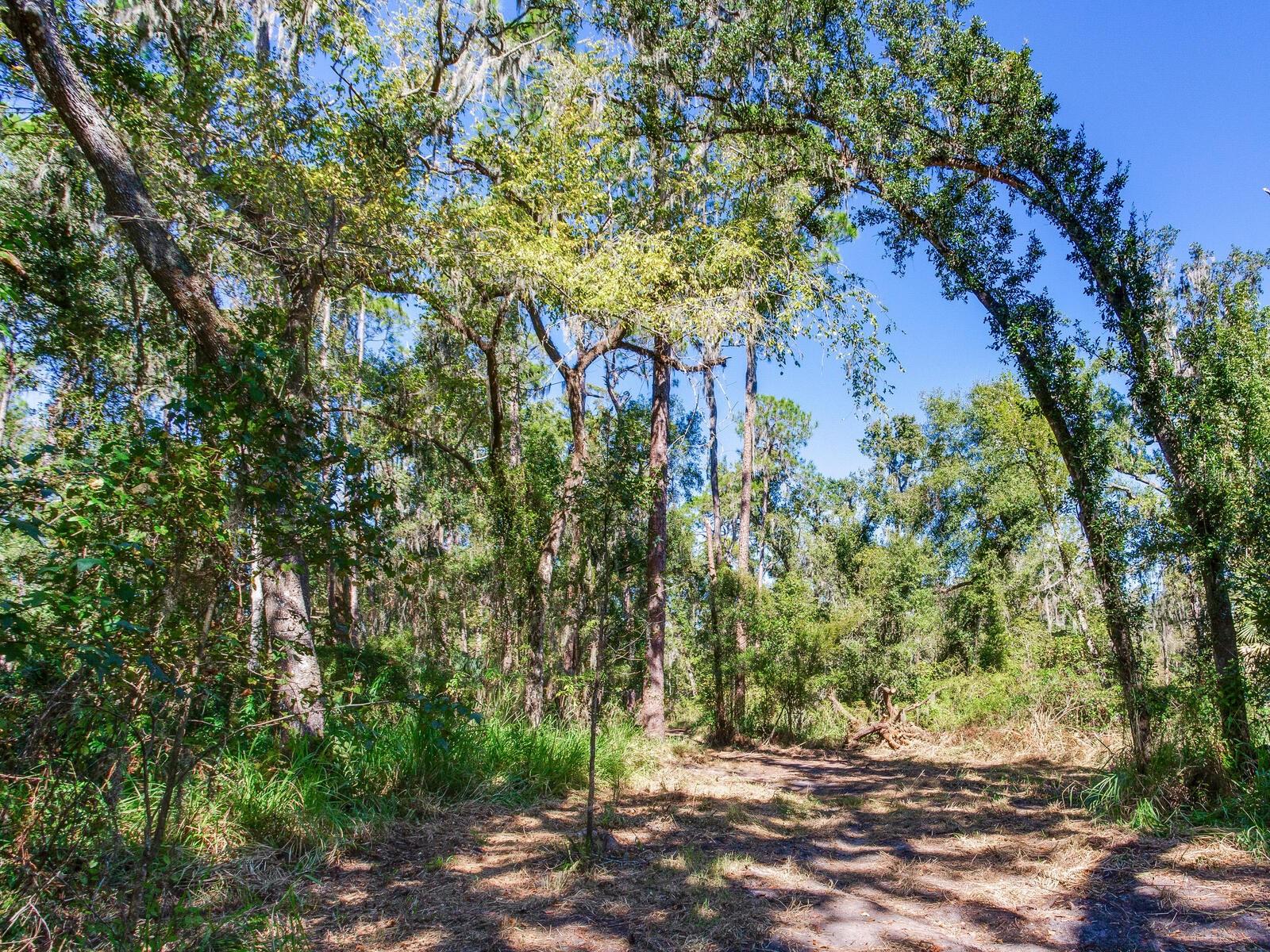 Image 22 of 30 For Drawdy Road