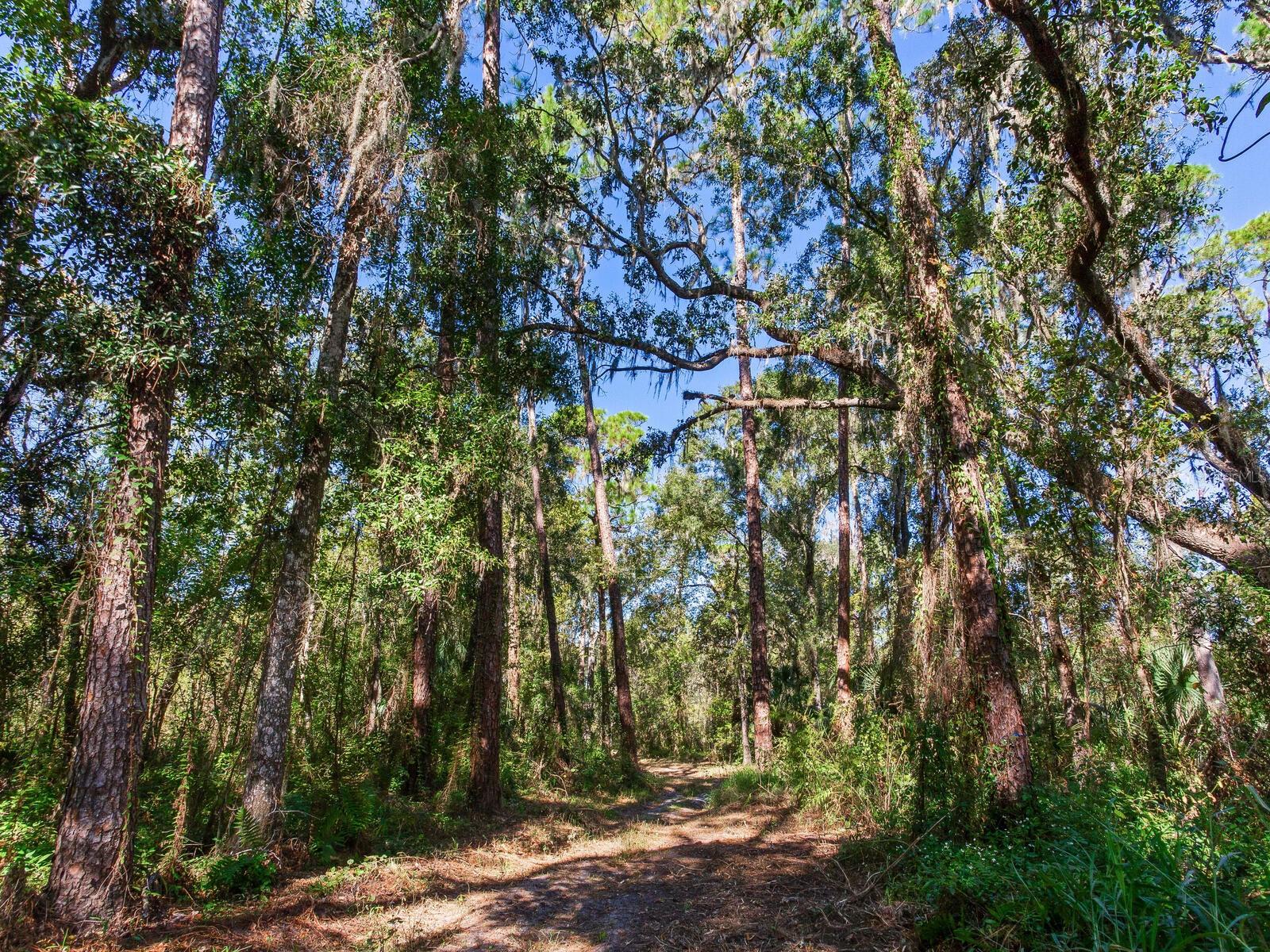 Image 23 of 30 For Drawdy Road