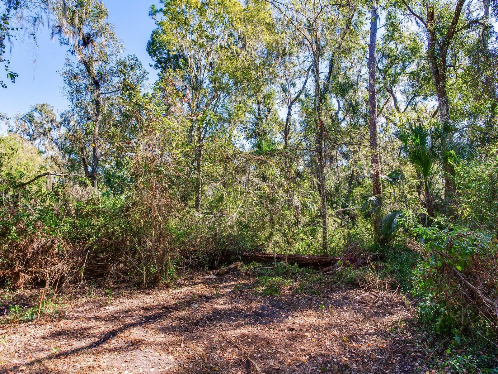 Image 25 of 30 For Drawdy Road