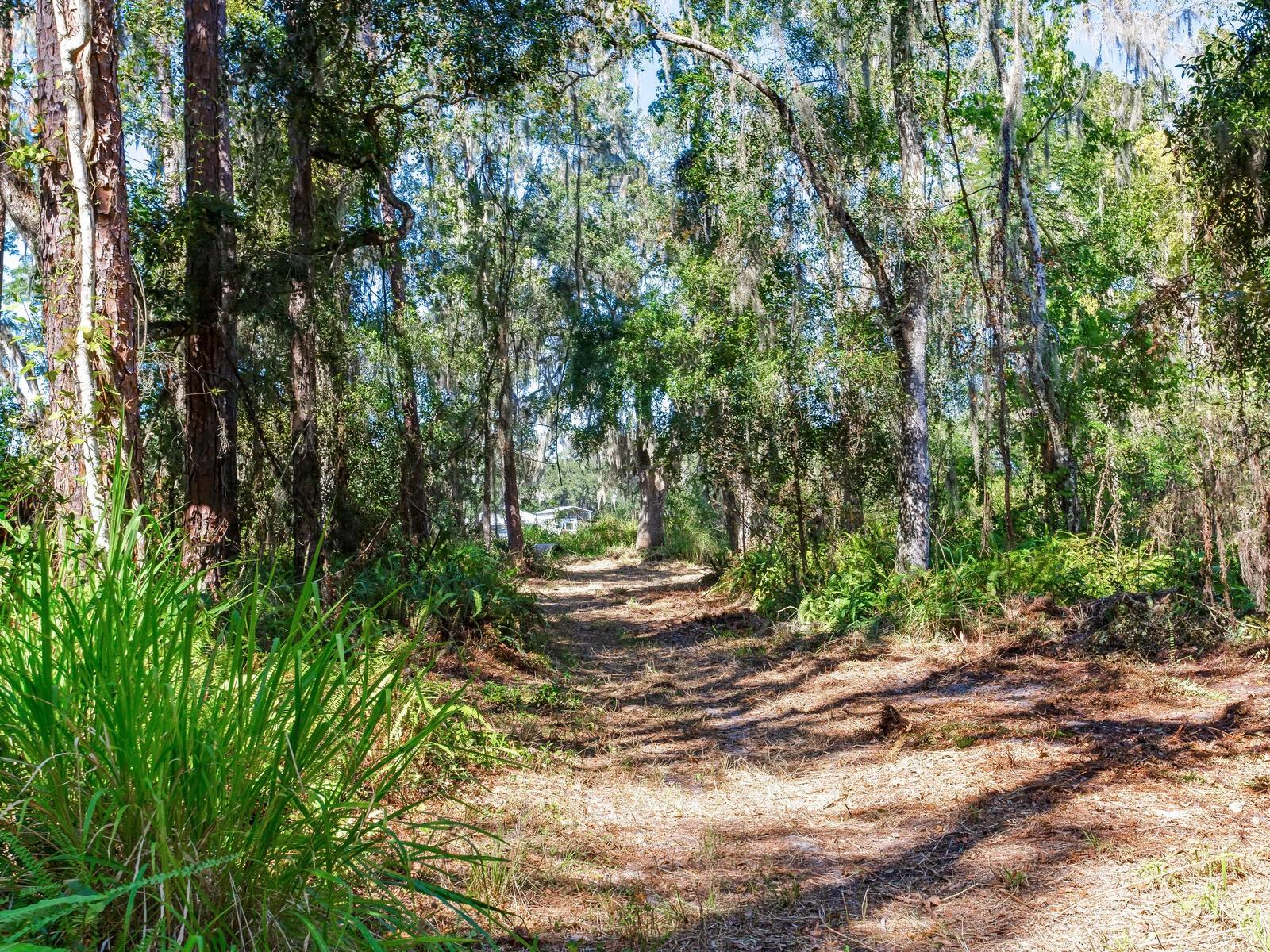 Image 28 of 30 For Drawdy Road