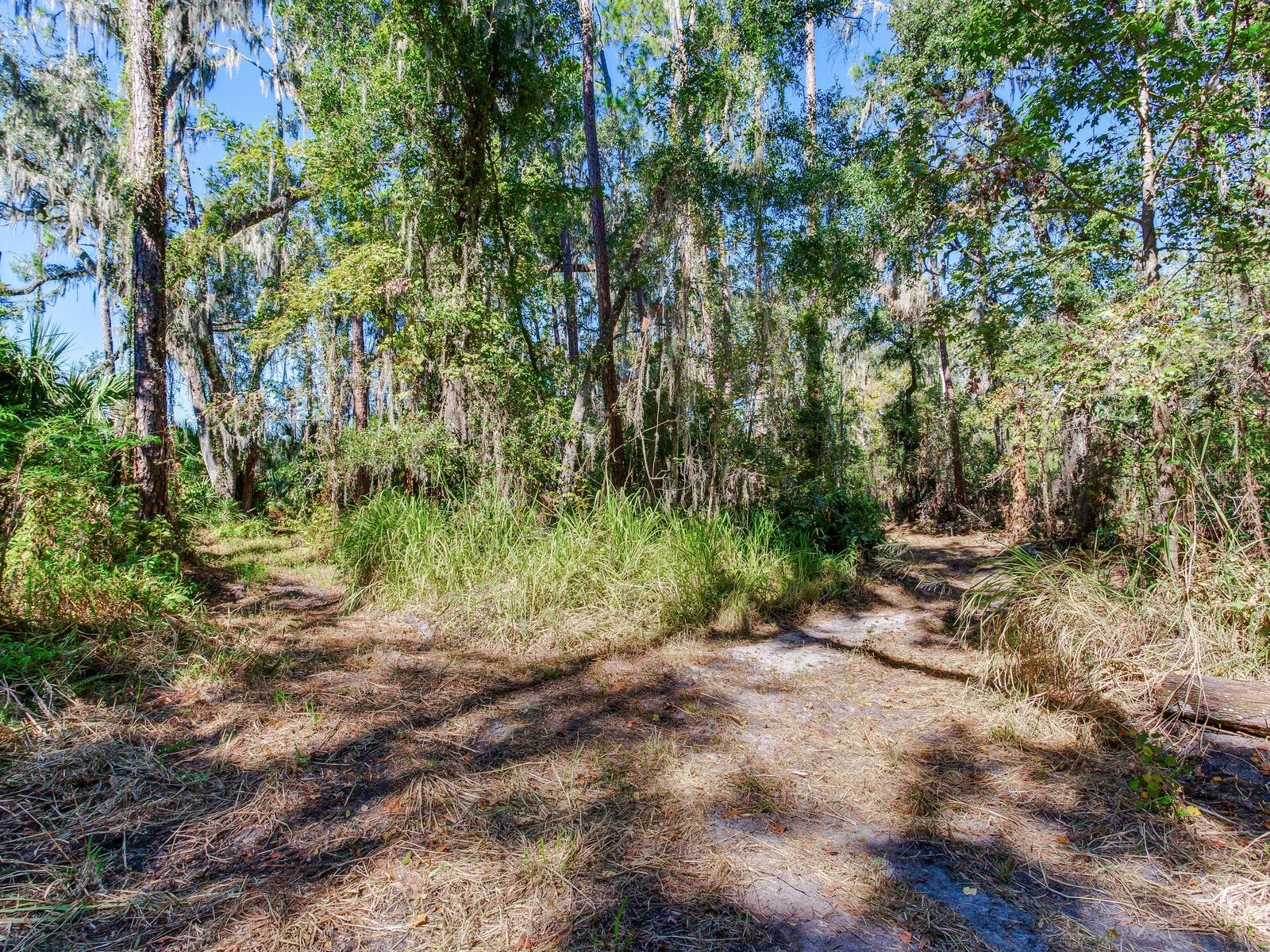 Image 29 of 30 For Drawdy Road