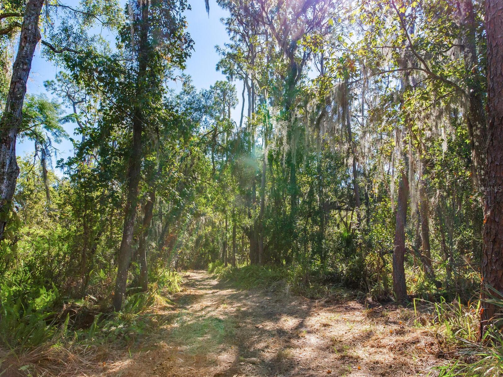 Image 6 of 30 For Drawdy Road