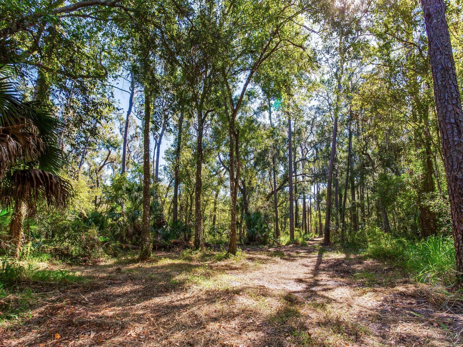 Image 7 of 30 For Drawdy Road