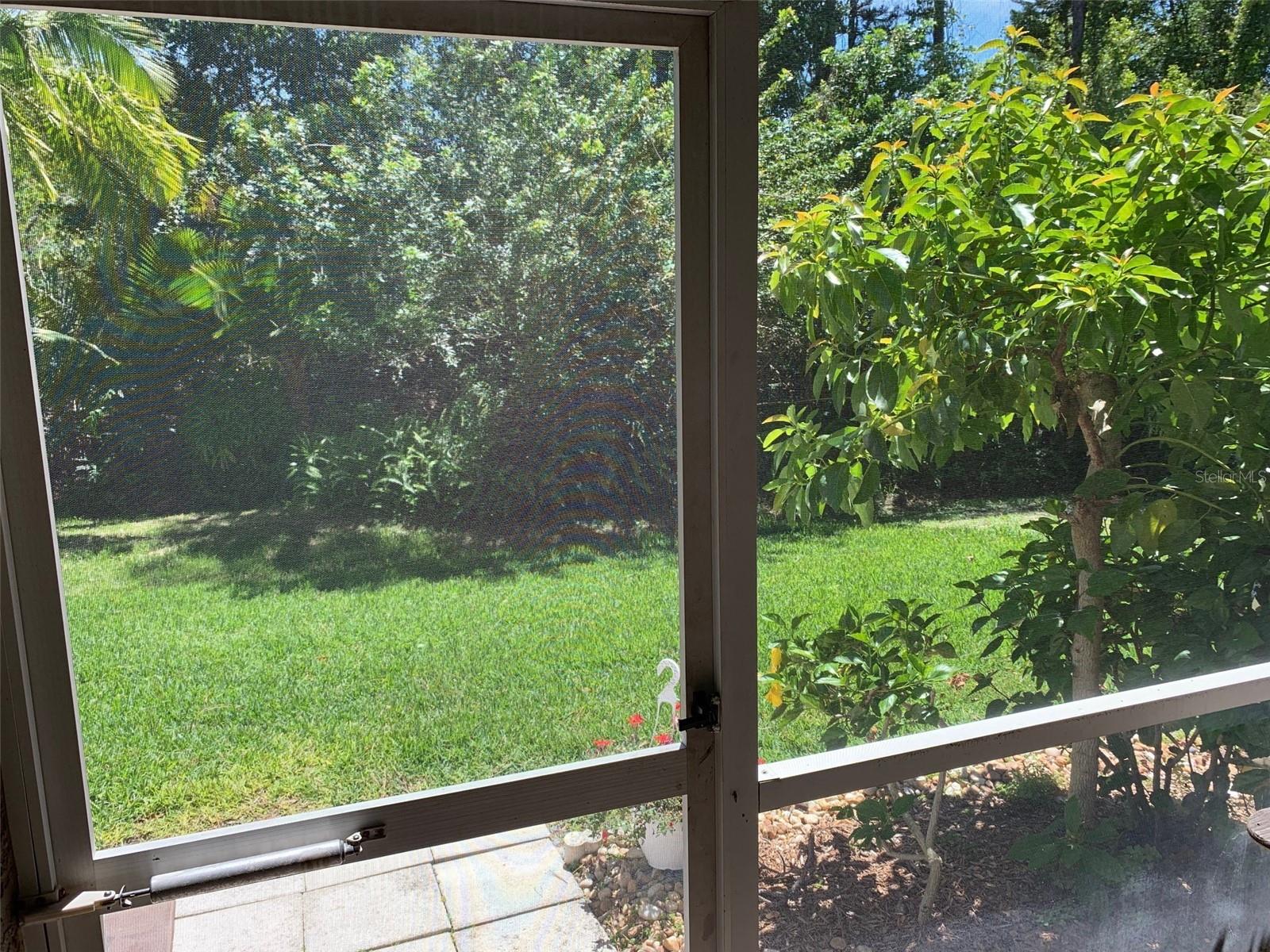 Image 11 of 24 For 11106 Windsor Place Circle