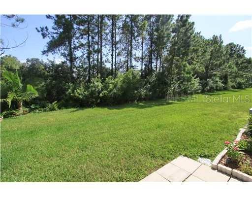 Image 12 of 24 For 11106 Windsor Place Circle