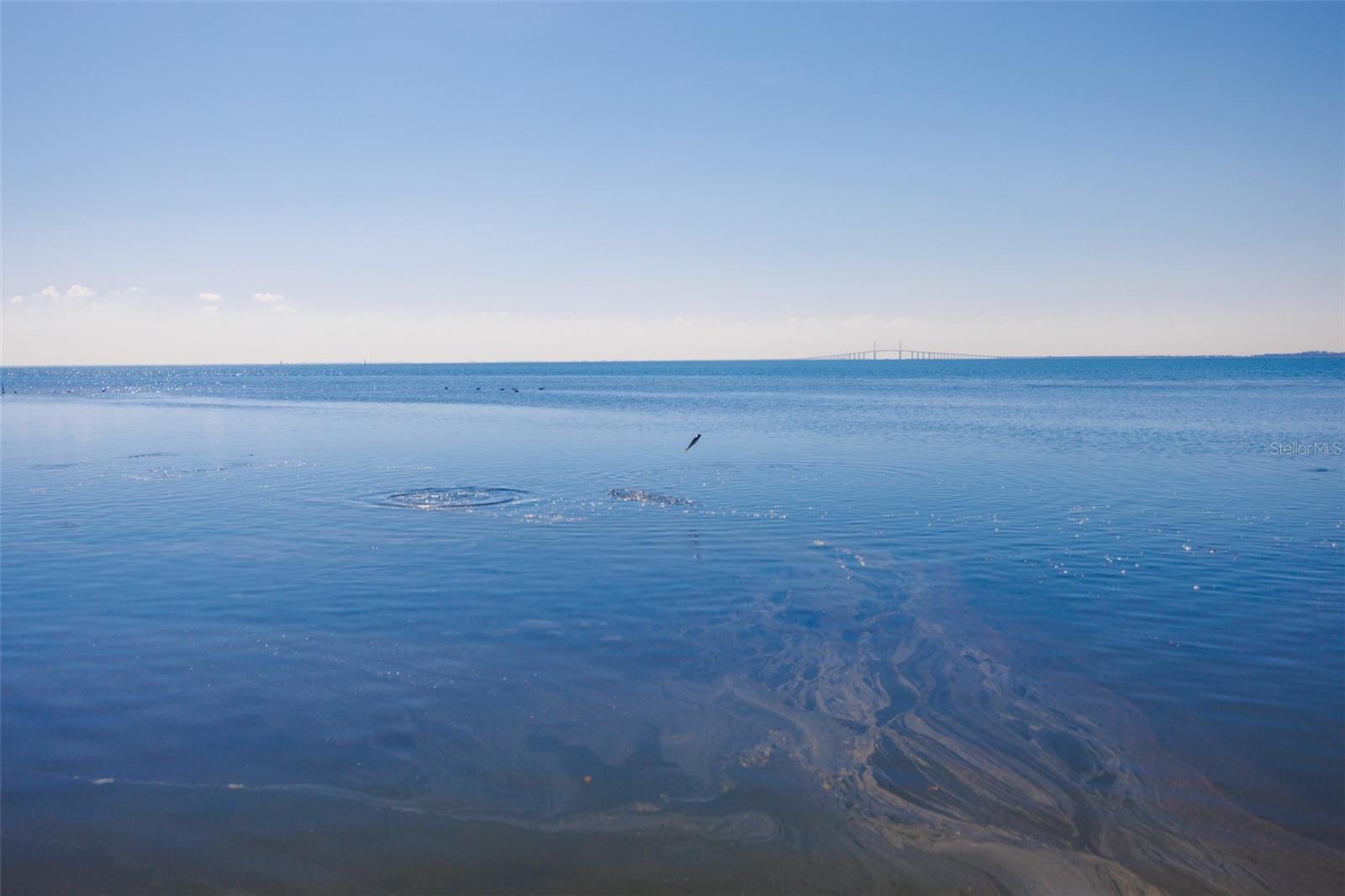 Image 3 of 95 For 2158 Blossom Way S