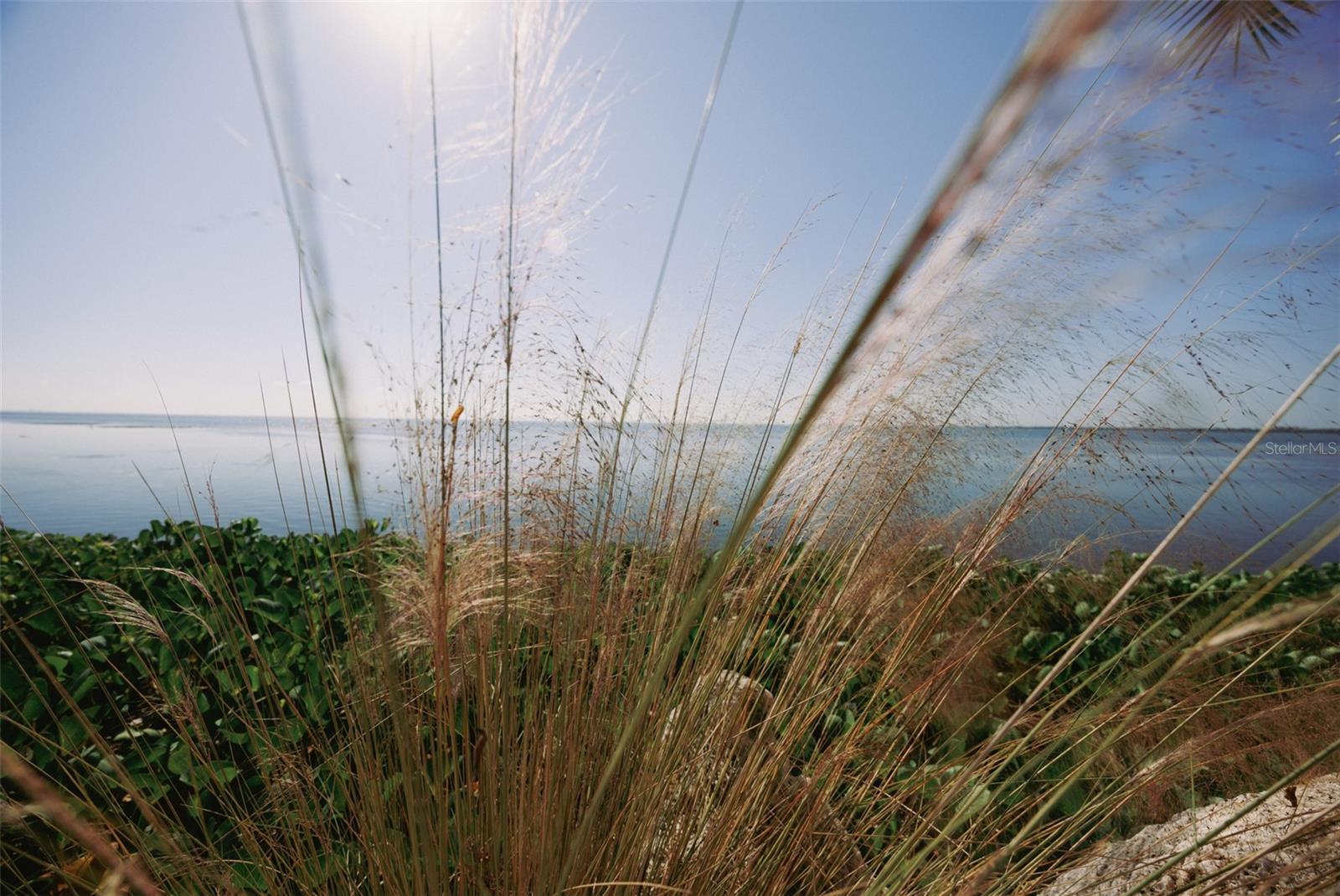 Image 67 of 95 For 2158 Blossom Way S