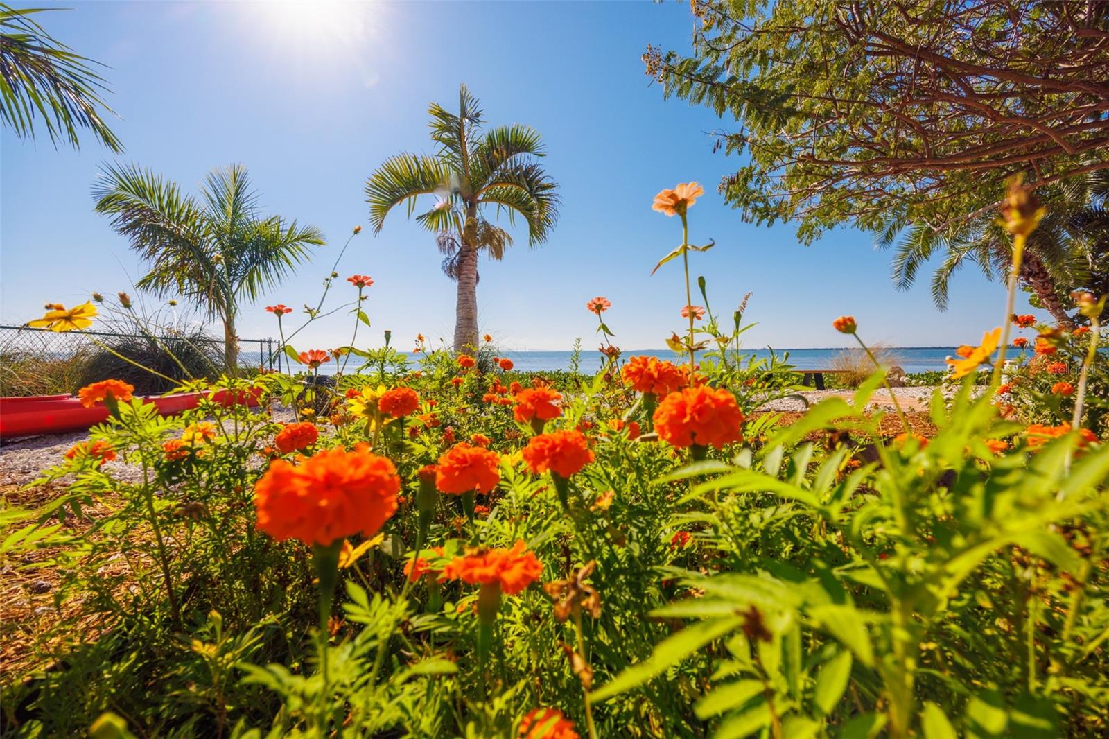 Image 71 of 95 For 2158 Blossom Way S