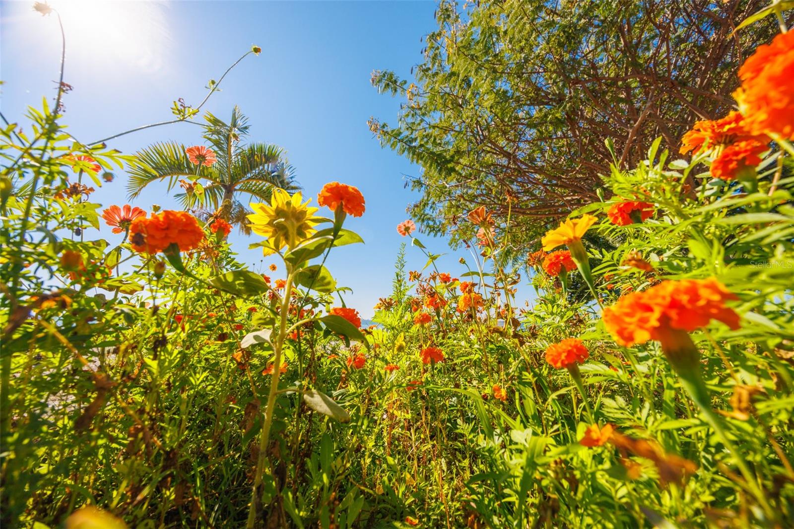 Image 72 of 95 For 2158 Blossom Way S