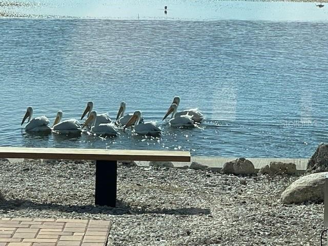 Image 76 of 95 For 2158 Blossom Way S