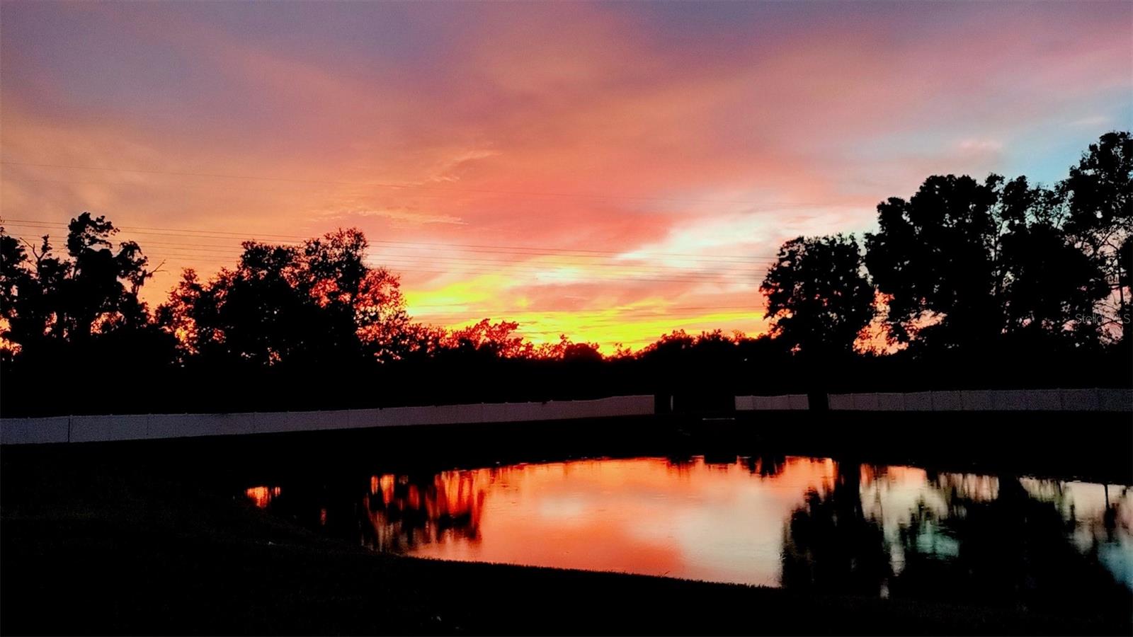 Image 3 of 33 For 921 Fennel Seed Way