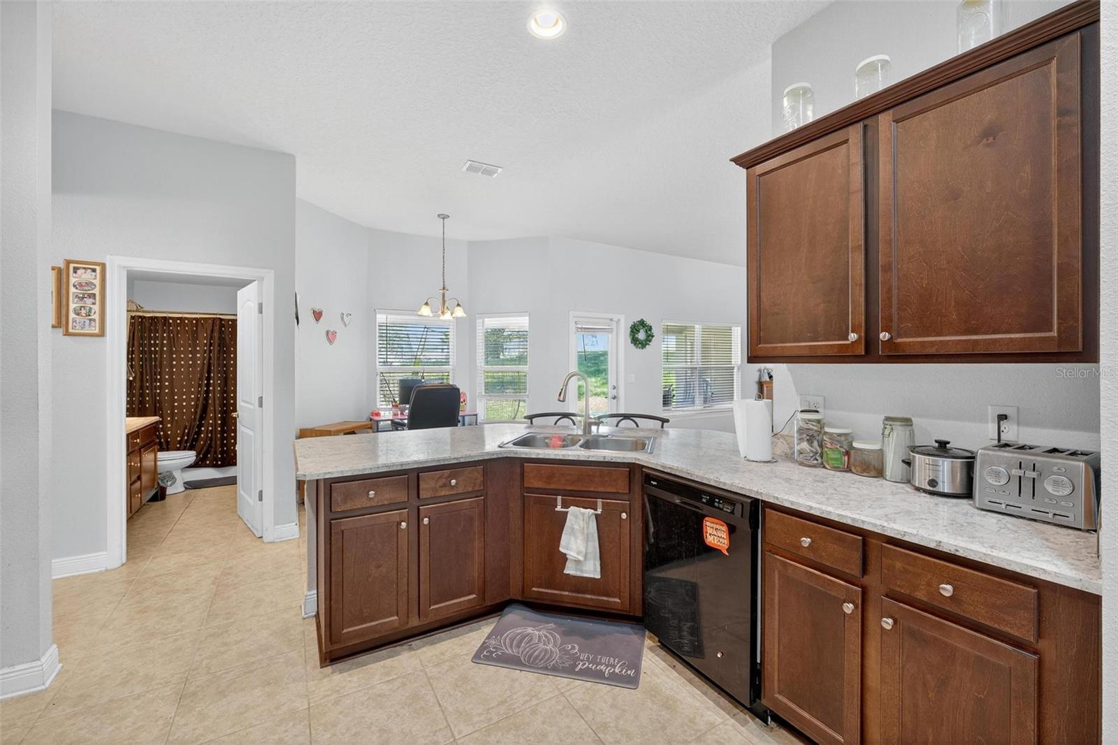 Image 24 of 54 For 2005 Angel Fish Loop