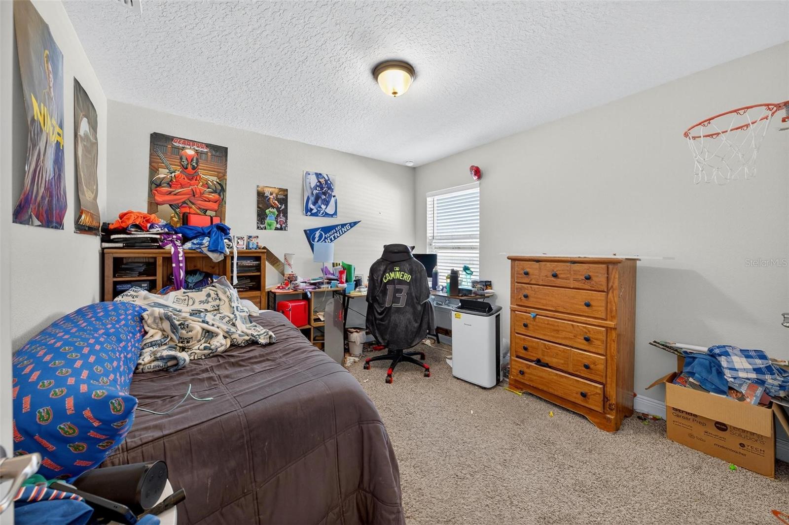 Image 31 of 54 For 2005 Angel Fish Loop