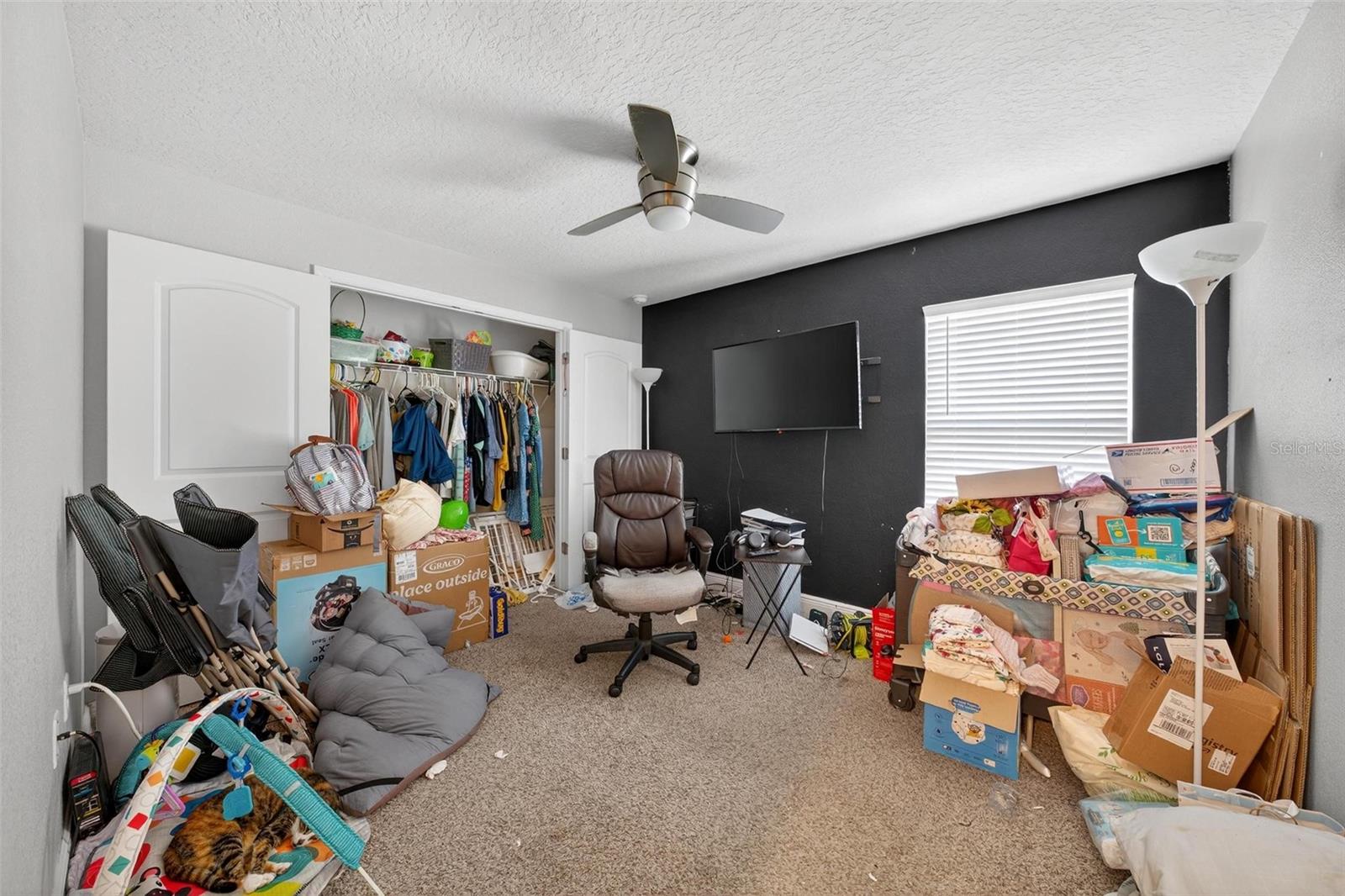 Image 36 of 54 For 2005 Angel Fish Loop