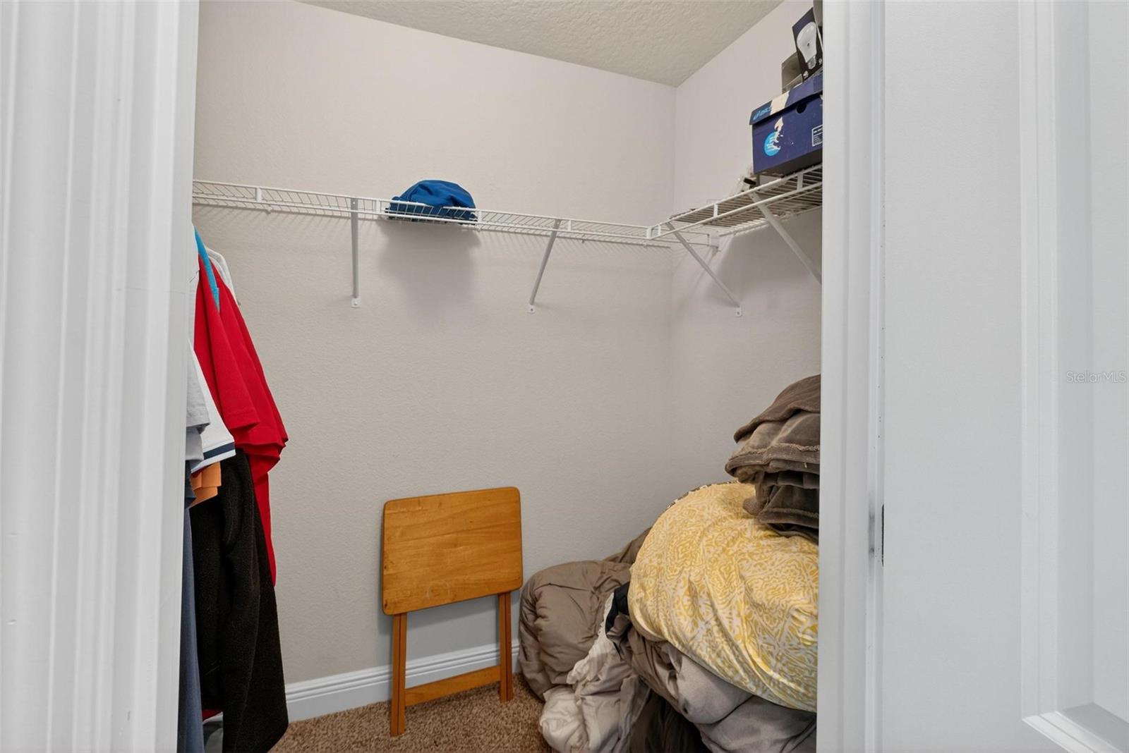 Image 43 of 54 For 2005 Angel Fish Loop