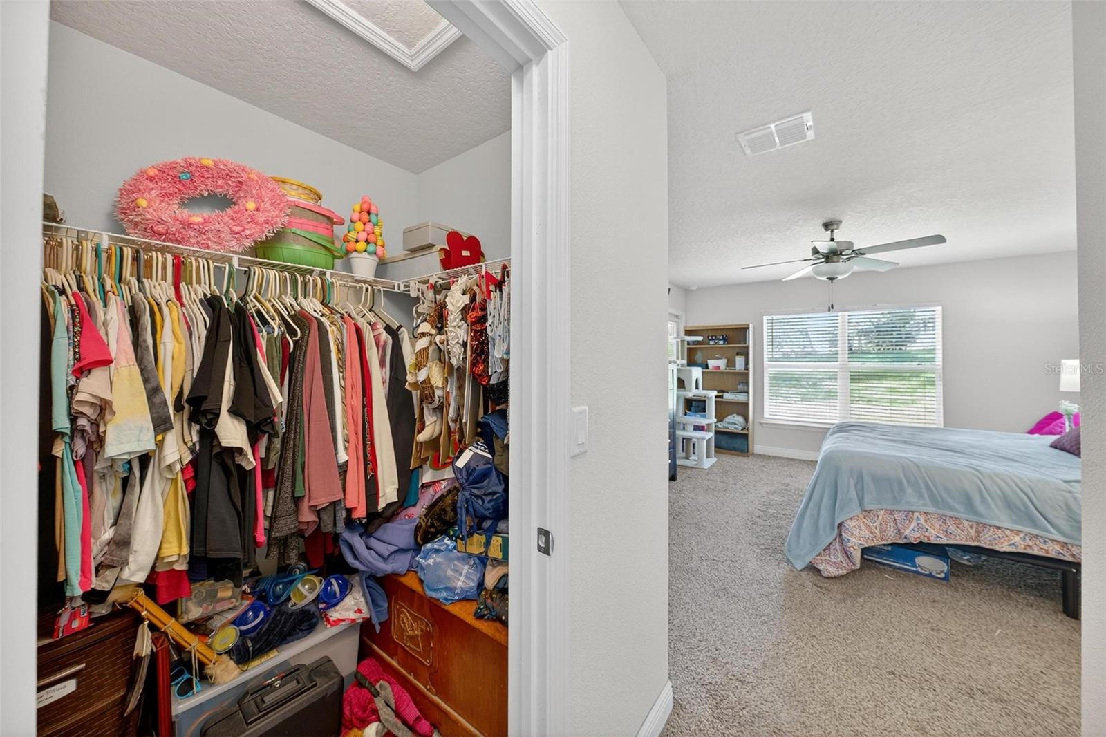 Image 44 of 54 For 2005 Angel Fish Loop