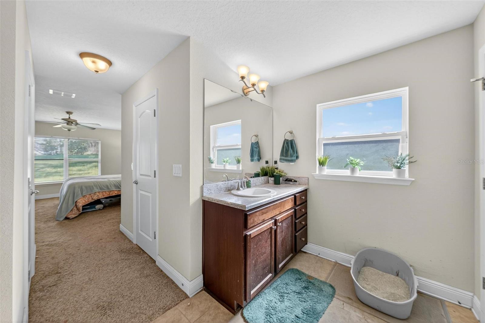 Image 46 of 54 For 2005 Angel Fish Loop