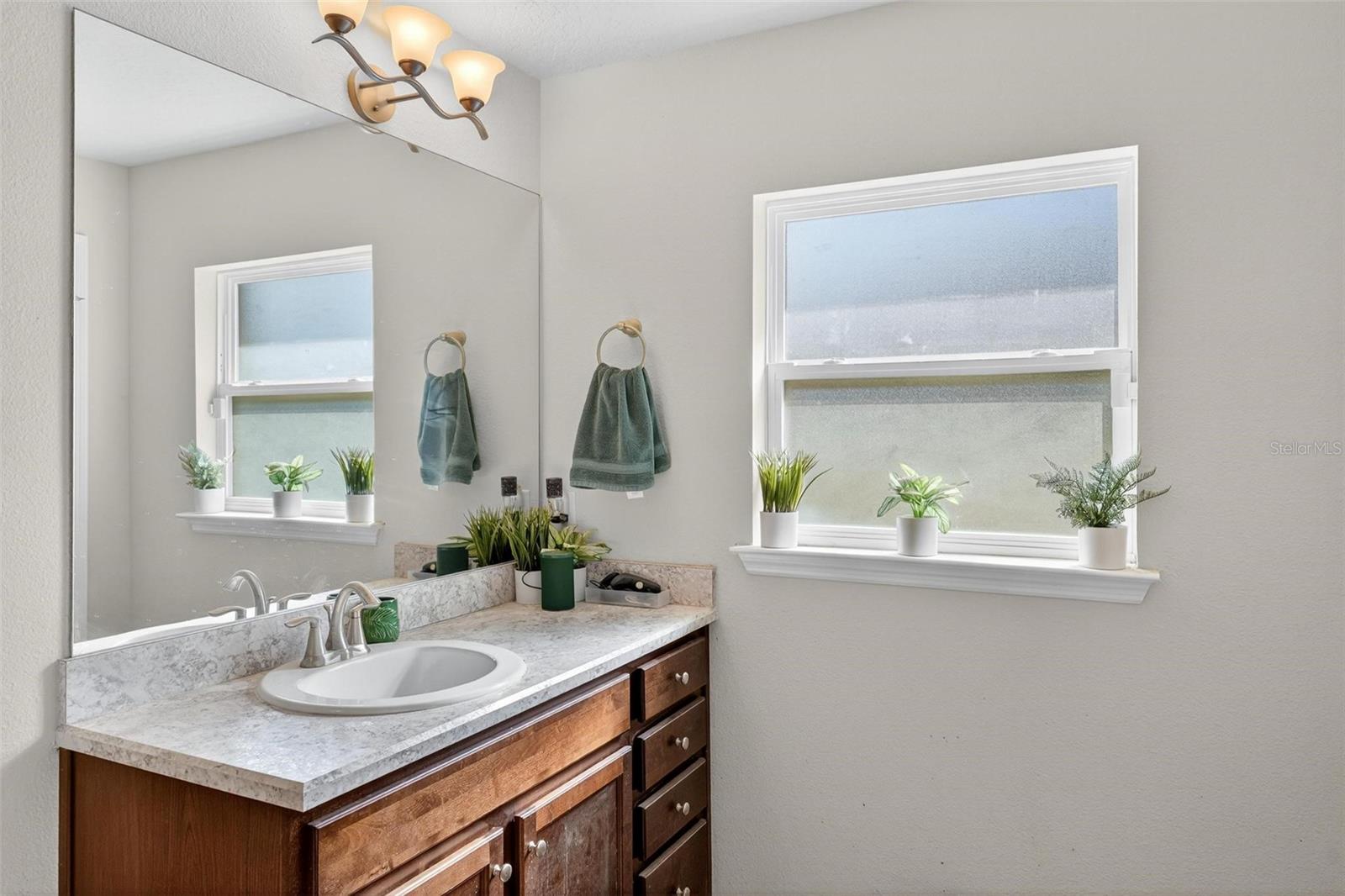 Image 48 of 54 For 2005 Angel Fish Loop