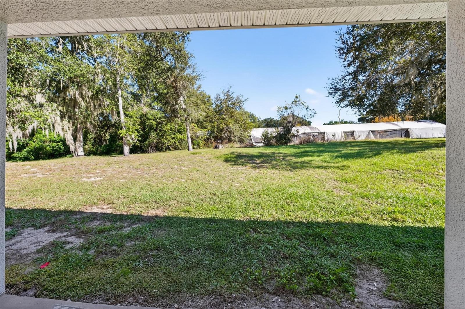 Image 51 of 54 For 2005 Angel Fish Loop