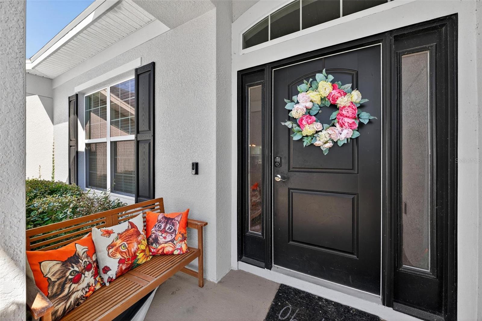 Image 6 of 54 For 2005 Angel Fish Loop