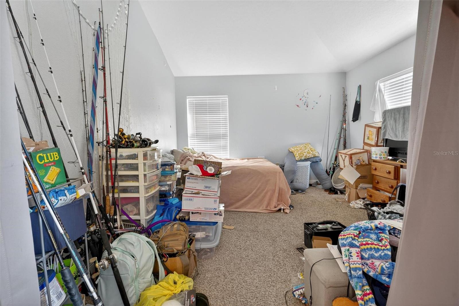 Image 9 of 54 For 2005 Angel Fish Loop