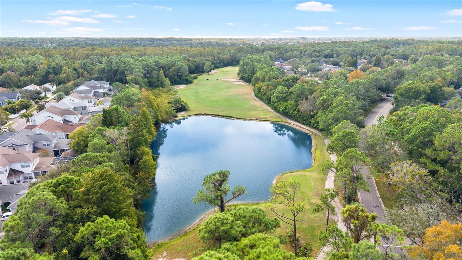 Image 30 of 43 For 9510 Georgian Park Lane 107