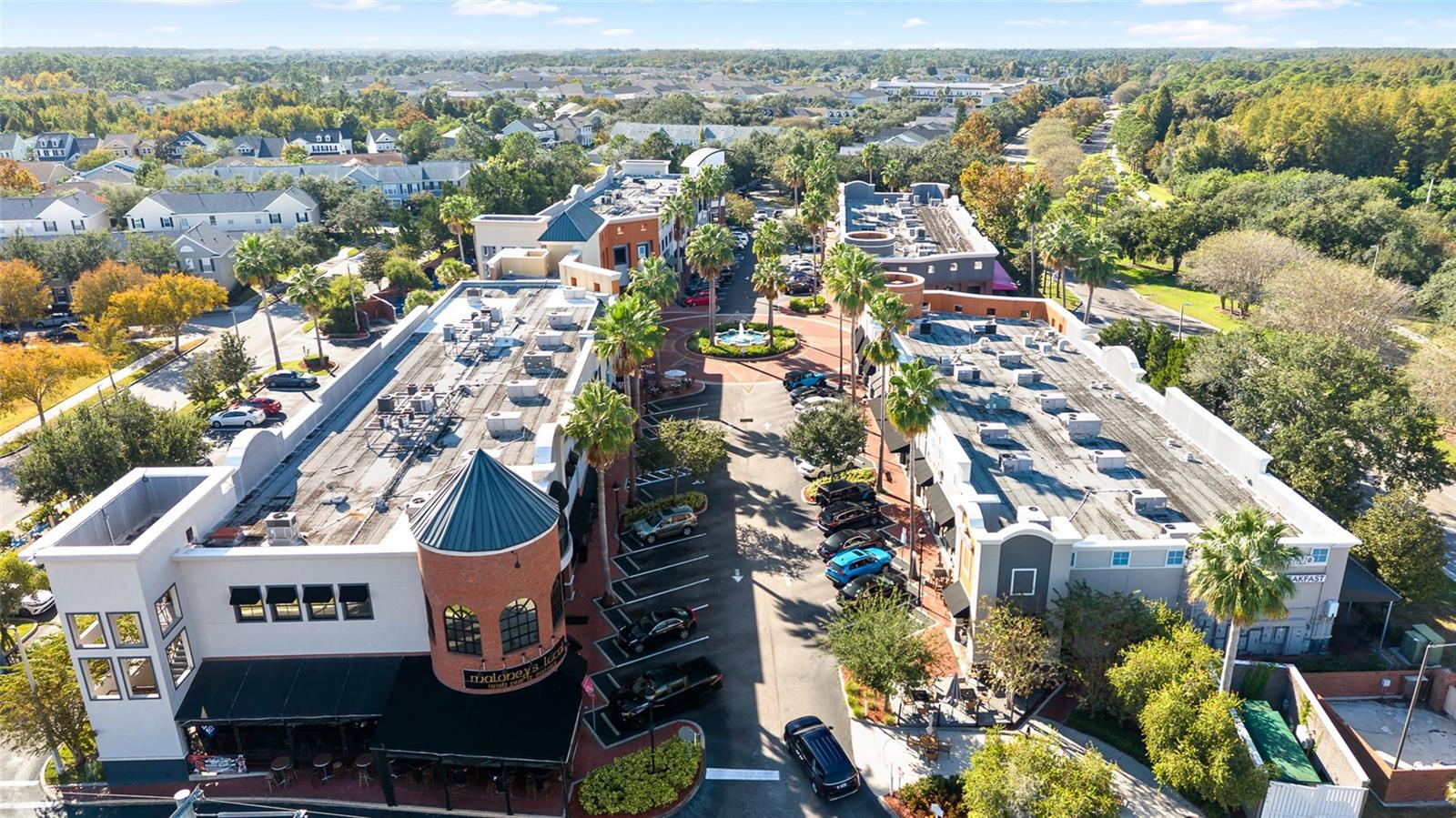 Image 33 of 43 For 9510 Georgian Park Lane 107