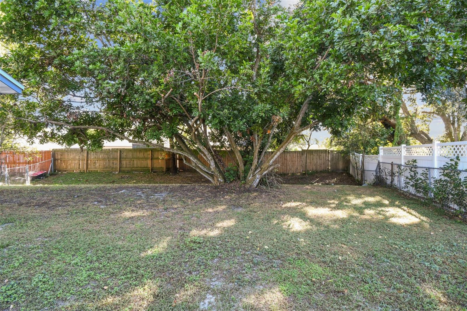 Image 31 of 36 For 249 Granite Drive