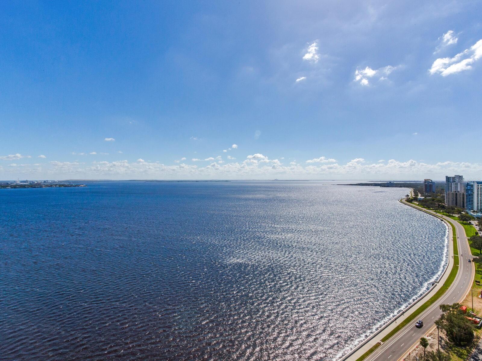 Image 30 of 60 For 3101 Bayshore Boulevard 2204