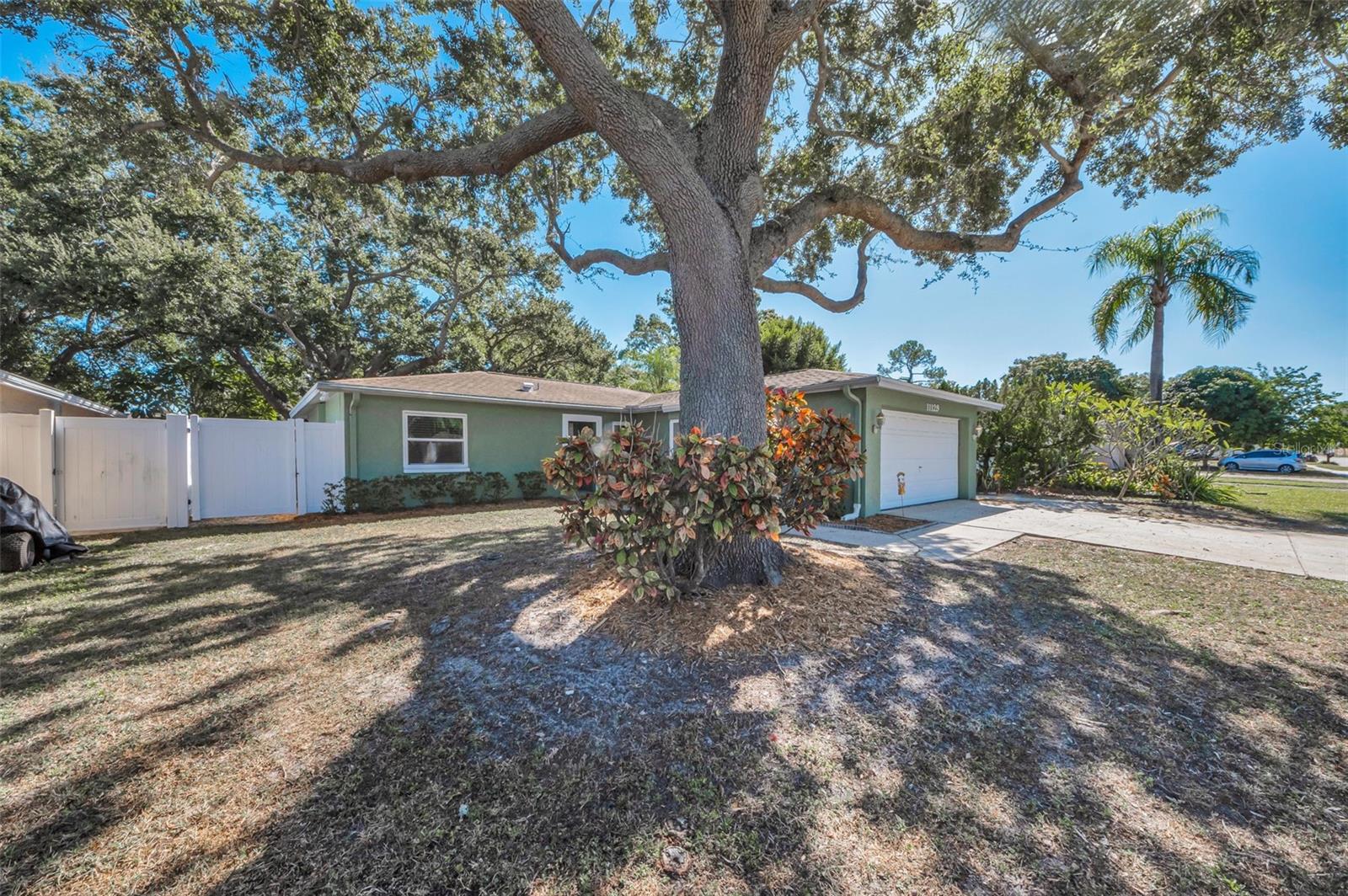 Image 4 of 41 For 11129 62nd Street N