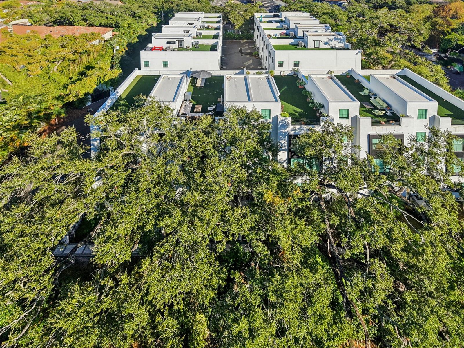 Image 55 of 62 For 2851 Gandy Boulevard 12