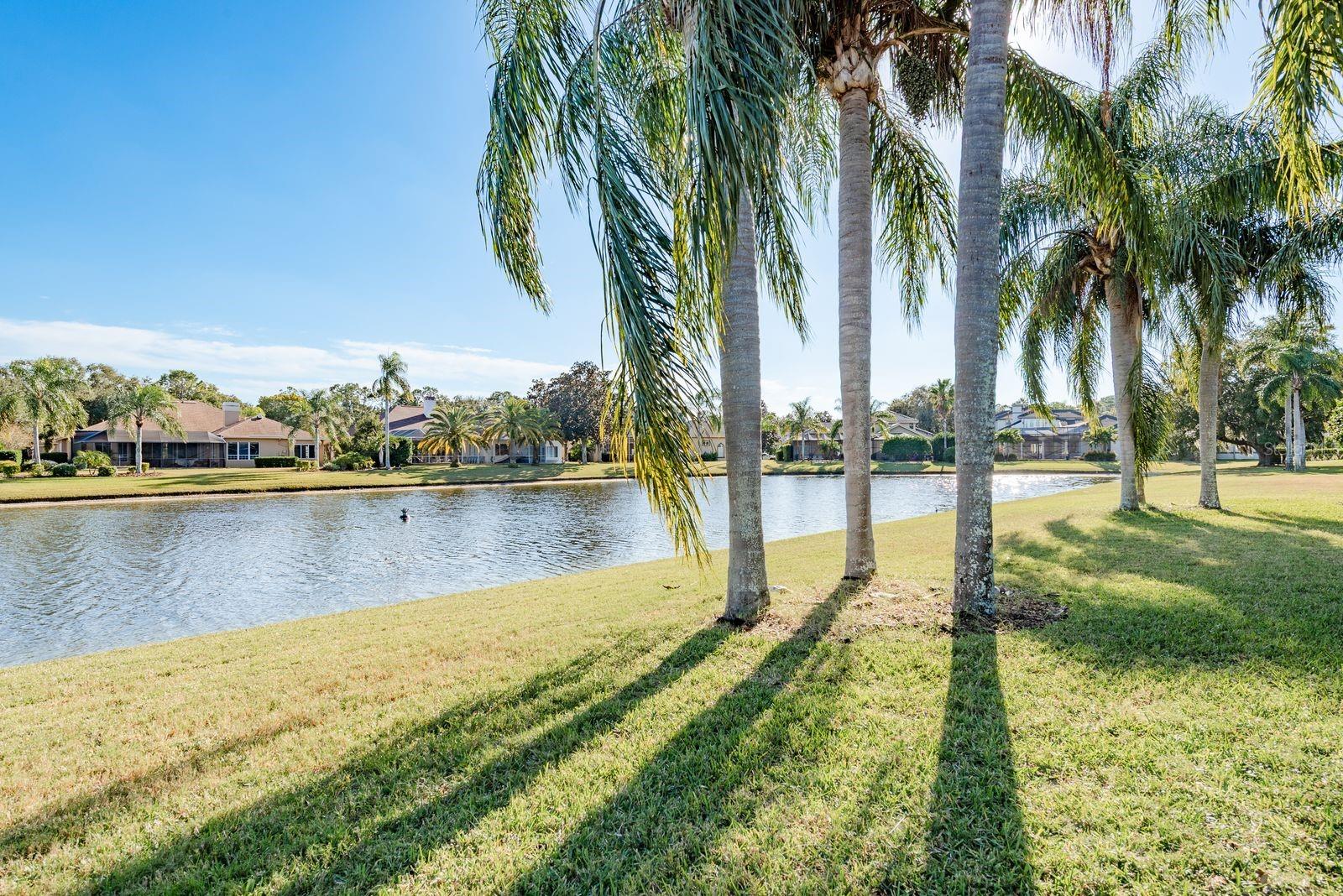 Image 44 of 59 For 3866 Moreno Drive