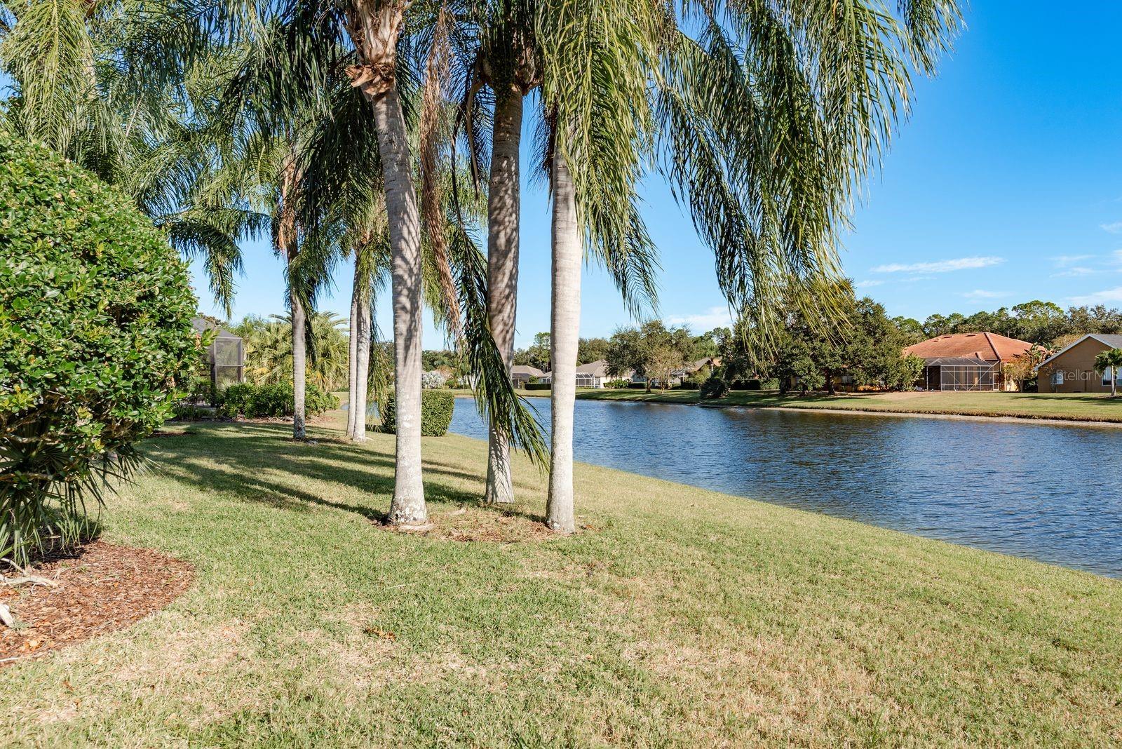 Image 48 of 59 For 3866 Moreno Drive