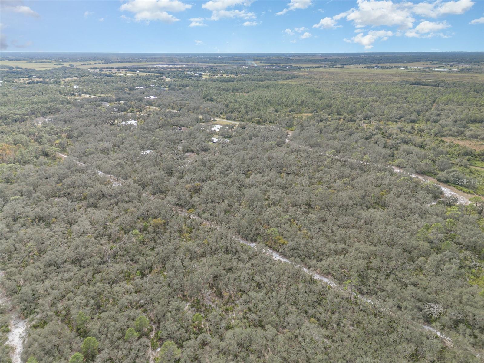 Image 37 of 39 For 30215 Saddlebag Trail