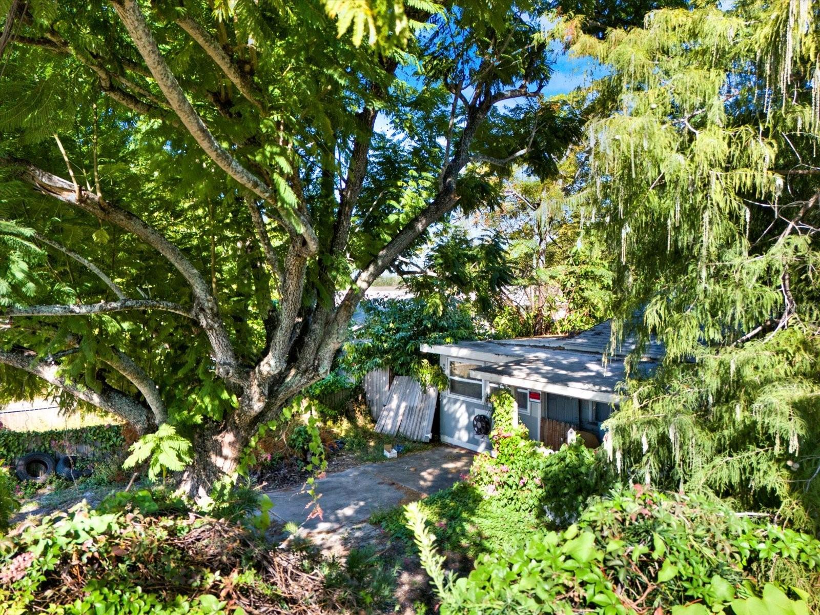 Image 16 of 23 For 2221 28th Avenue N