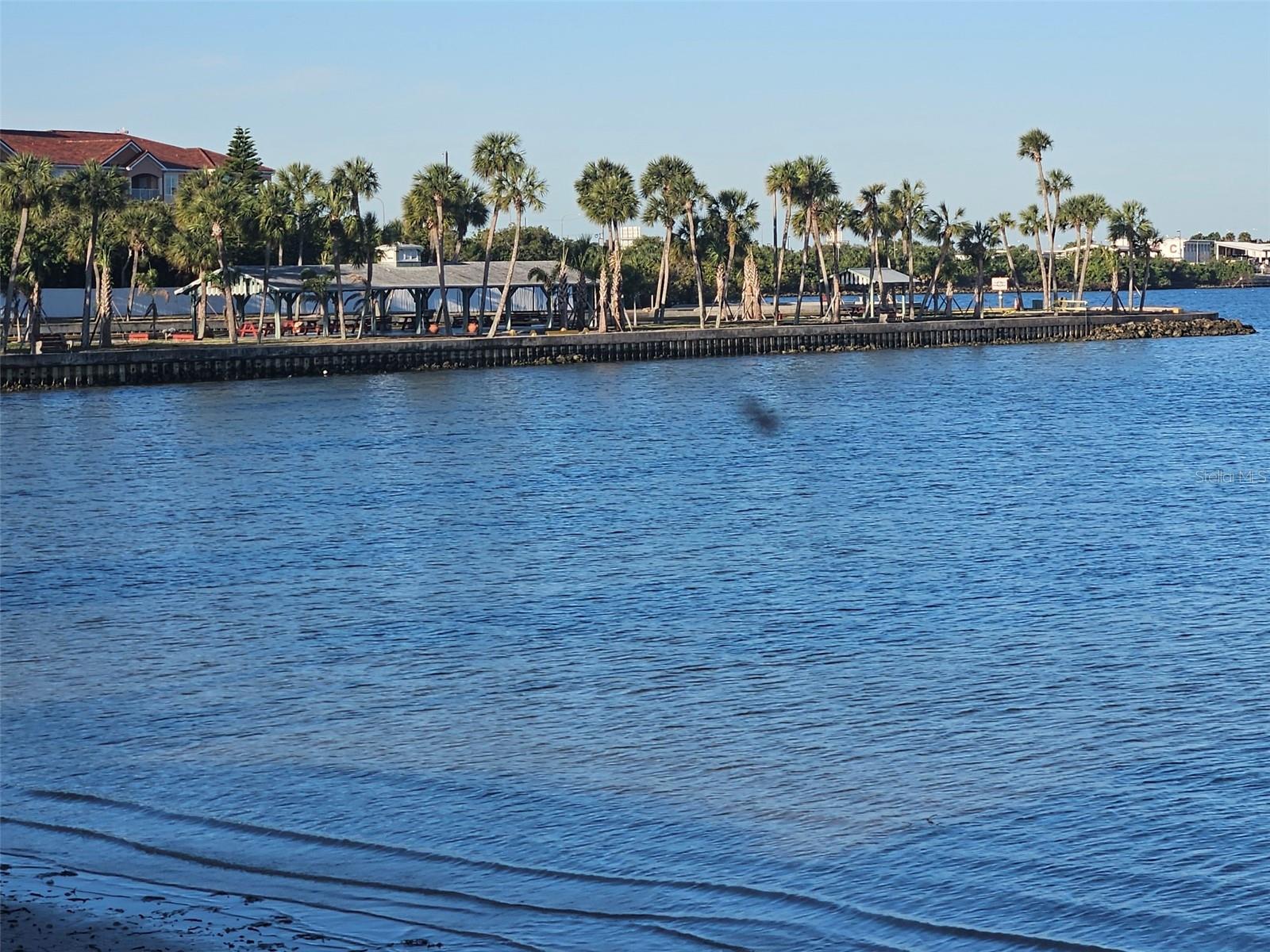 Image 22 of 28 For 4851 Gandy Boulevard B3l12