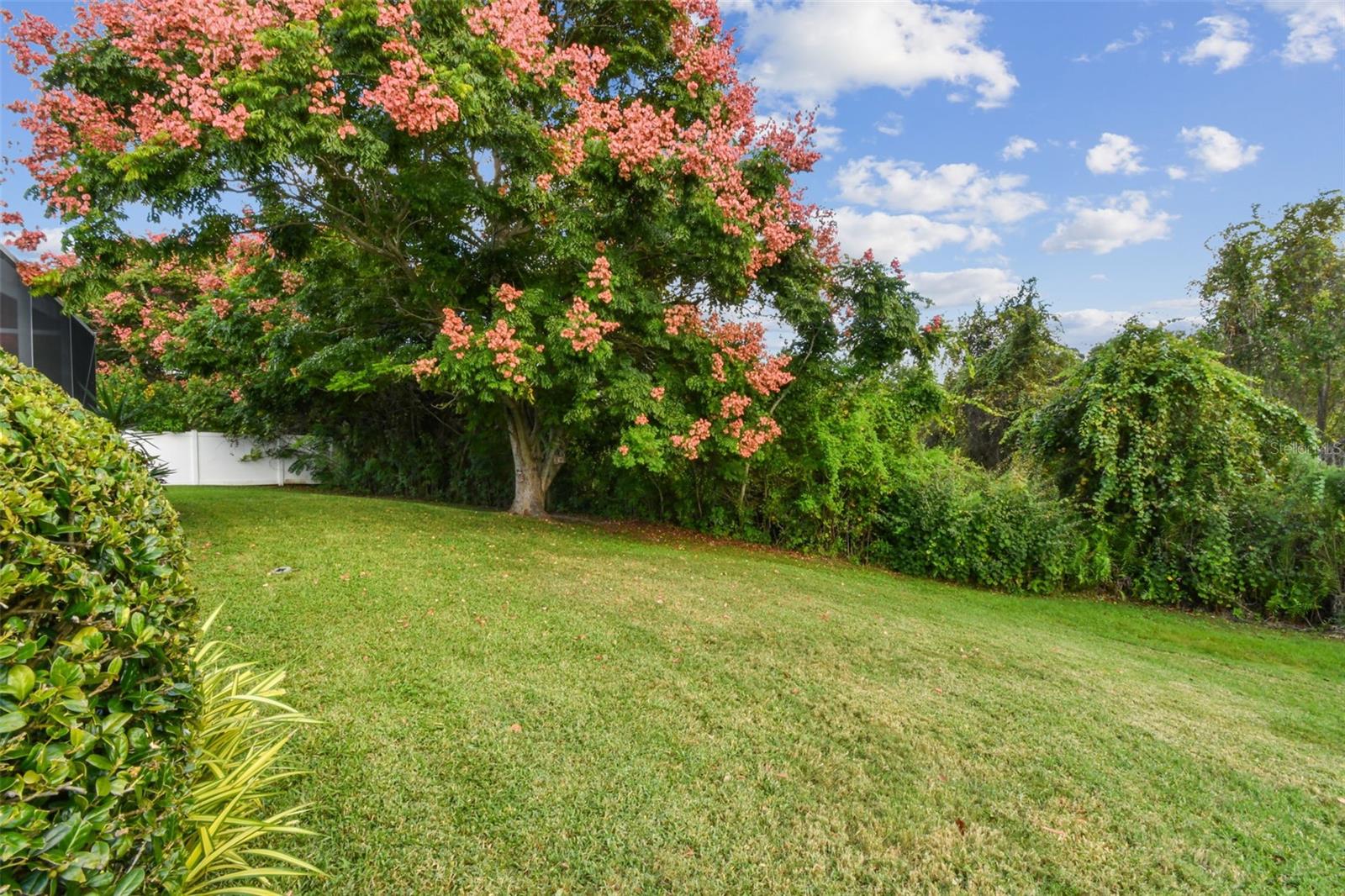 Listing photo id 42 for 1119 Fox Chapel Drive