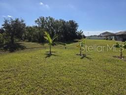 Image 10 of 10 For 12588 Timber Moss Lane