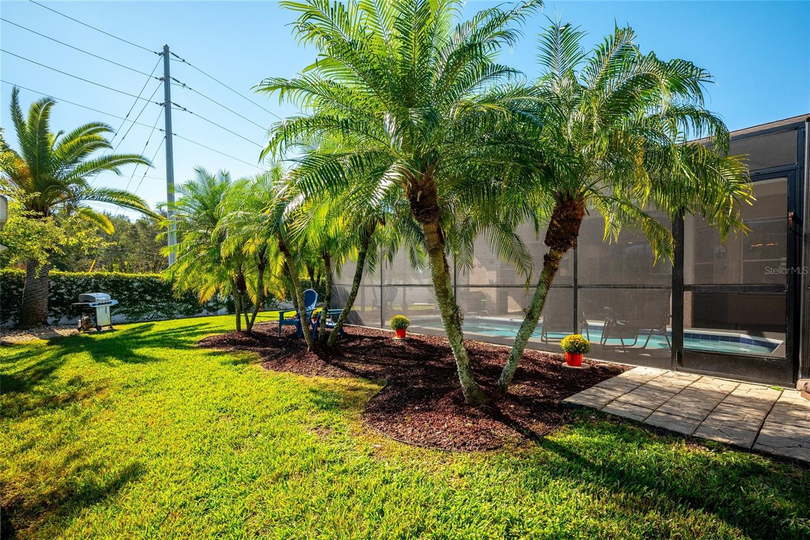 Image 39 of 43 For 26210 Corkwood Court