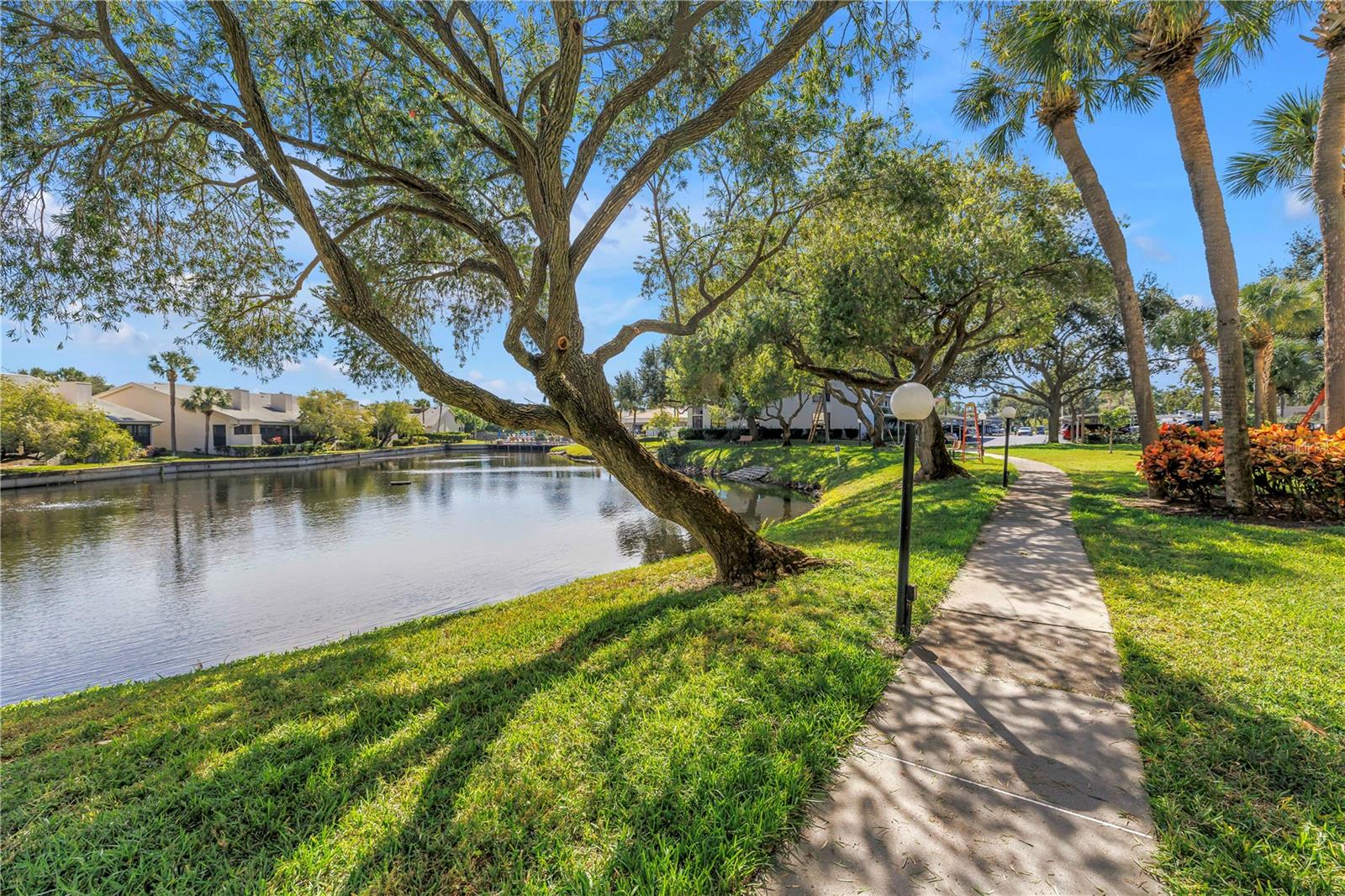 Image 34 of 71 For 1320 Pasadena Avenue S 203