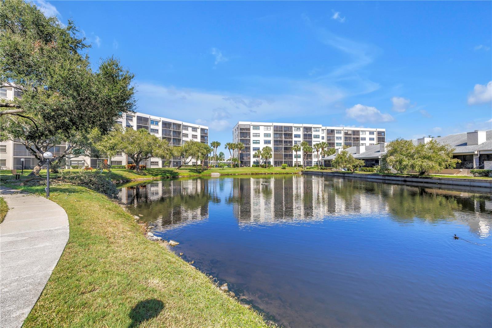 Image 36 of 71 For 1320 Pasadena Avenue S 203