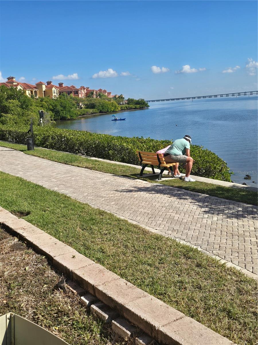 Image 5 of 40 For 2732 Via Murano  531