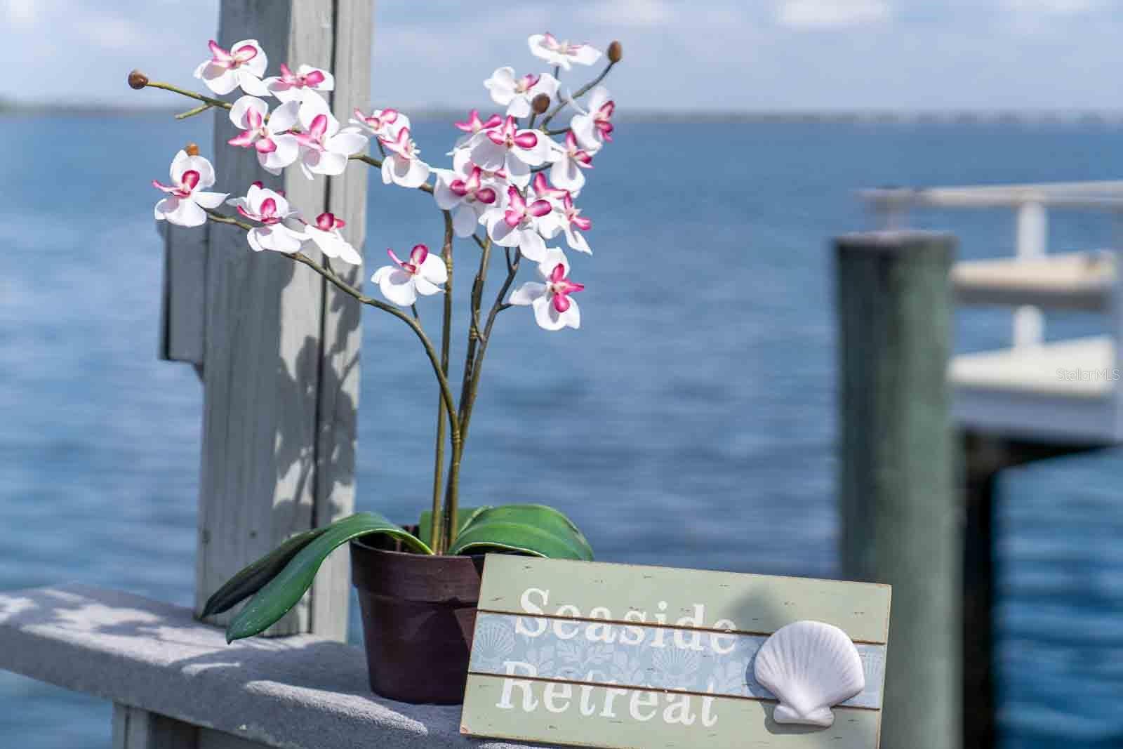 Image 53 of 100 For 18675 Us Highway 19 N 173