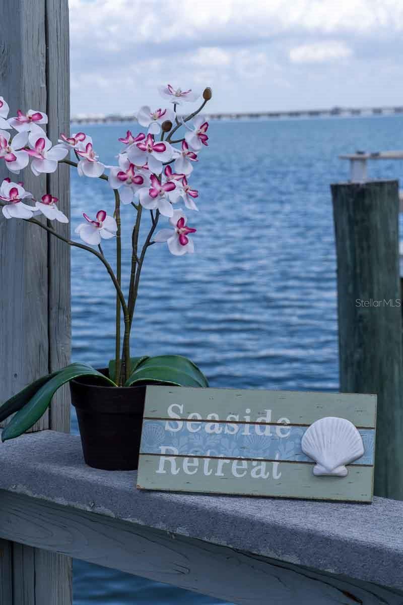 Image 54 of 100 For 18675 Us Highway 19 N 173