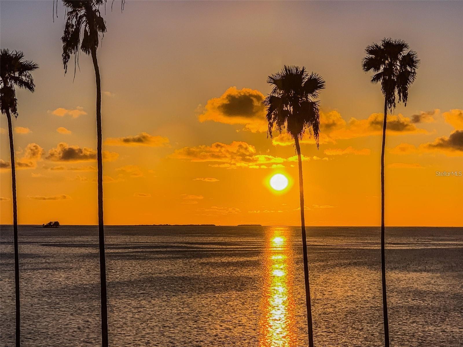 Listing photo id 66 for 266 Florida Boulevard