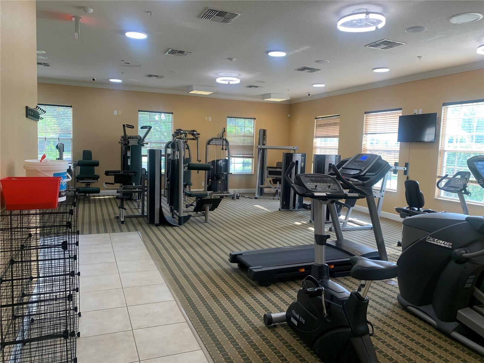 Image 56 of 57 For 4959 Pall Mall Street E