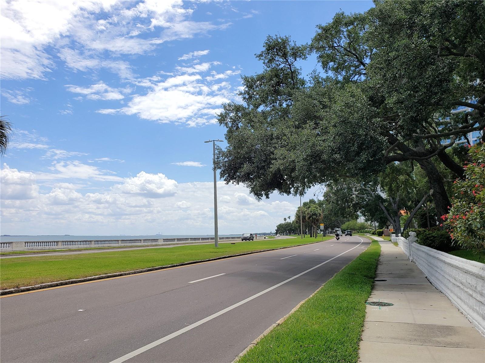 Image 21 of 22 For 3325 Bayshore Boulevard C14