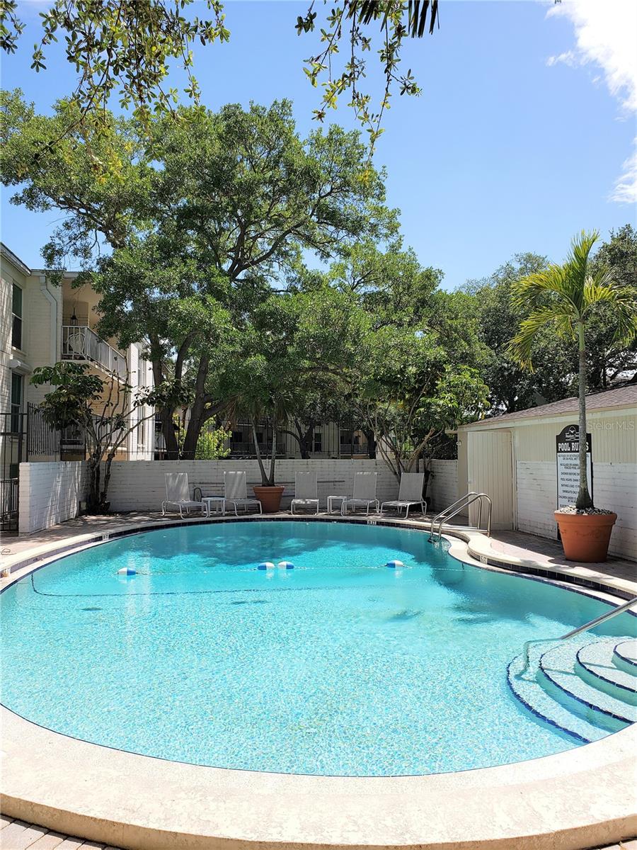 Image 3 of 22 For 3325 Bayshore Boulevard C14