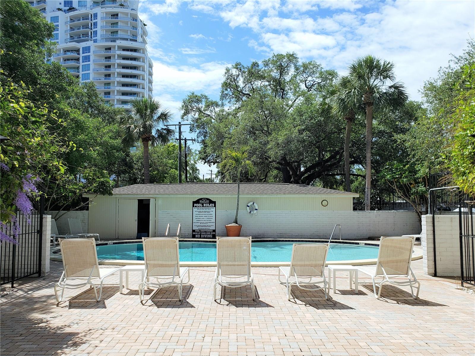 Image 4 of 22 For 3325 Bayshore Boulevard C14