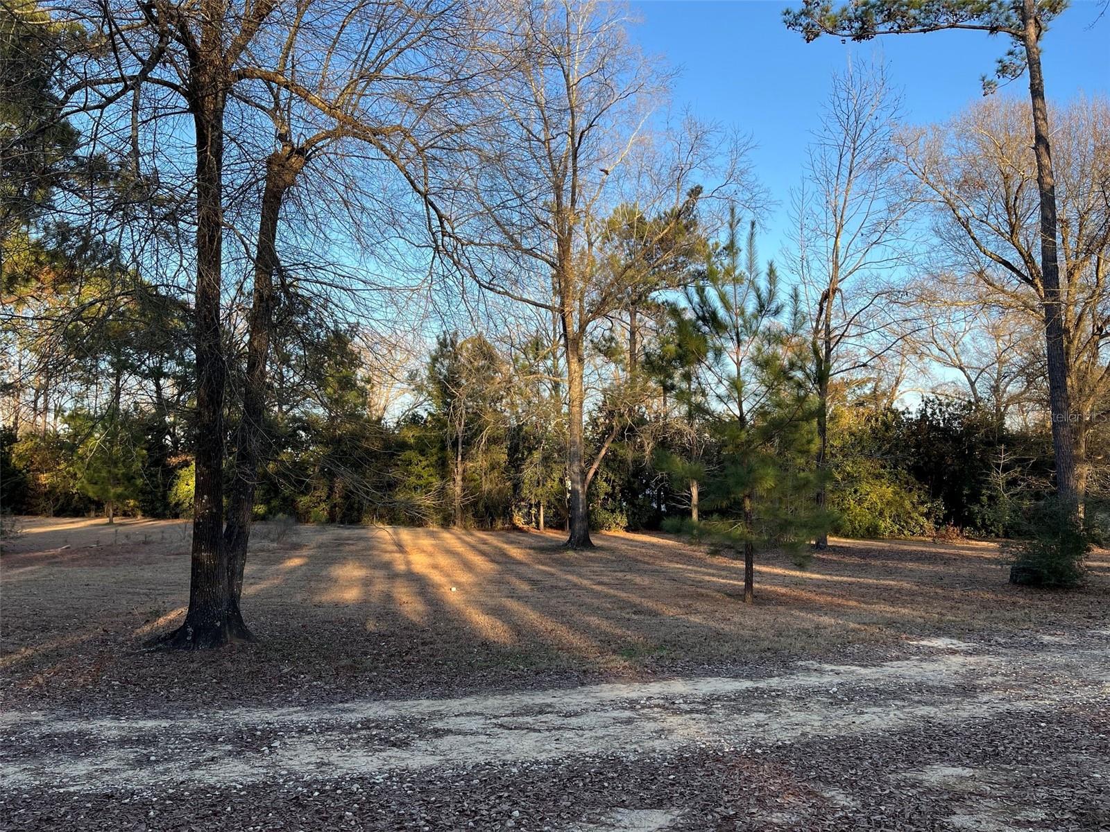 Image 12 of 16 For 3174 Westwood Dr